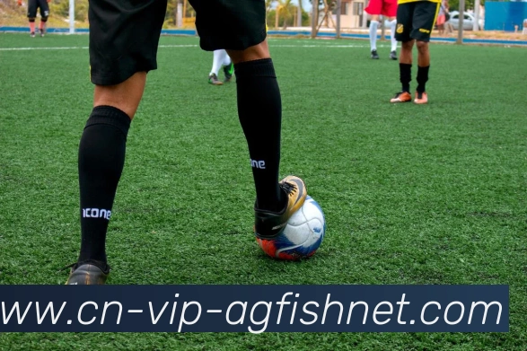 AG捕鱼王官网APP 体育赛事宣传图